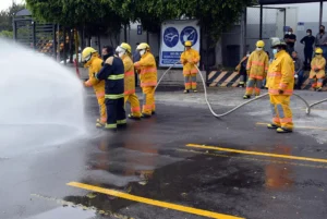 Incendios In Company