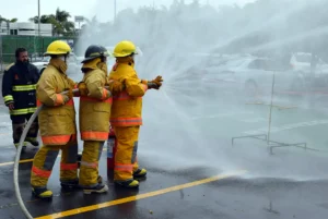 Incendios In Company
