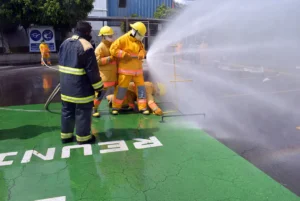 Incendios In Company