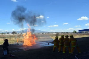 Incendios In Company